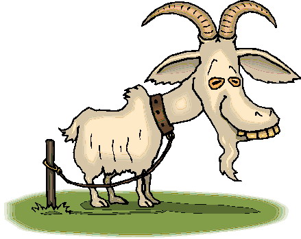 Goats clip art