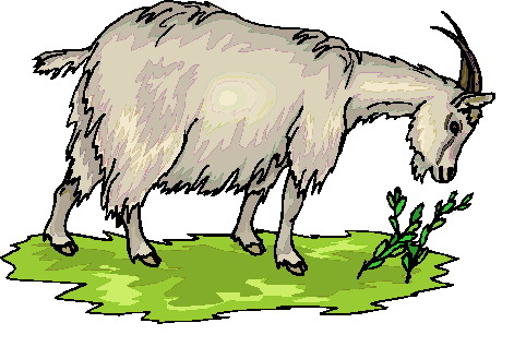 Goats clip art