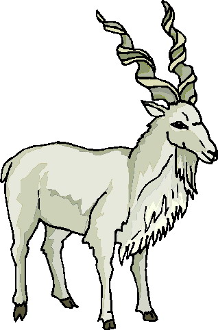 Goats clip art