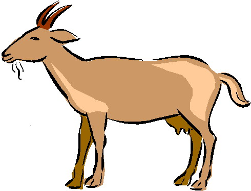 Goats clip art