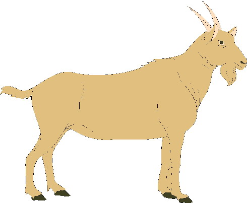 Goats clip art