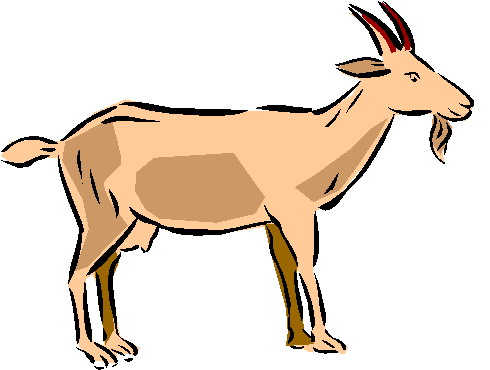 Goats clip art