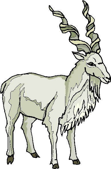 Goats clip art