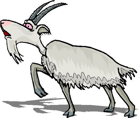 Goats clip art