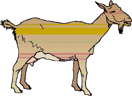 Goats clip art