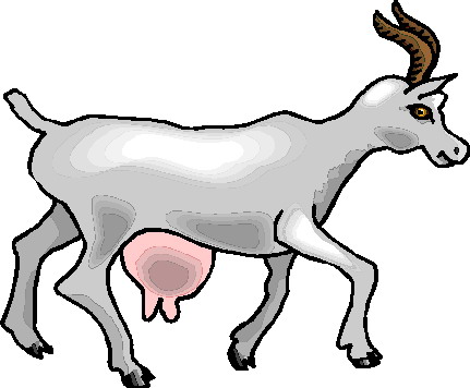 Goats clip art