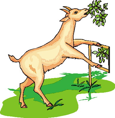 Goats clip art