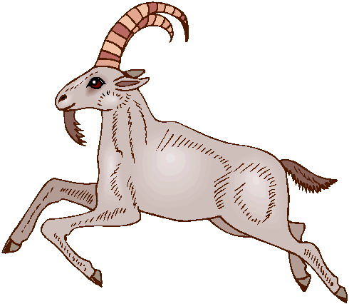 Goats clip art