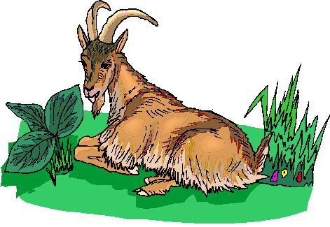 Goats clip art