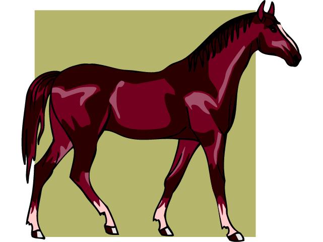 Horses clip art