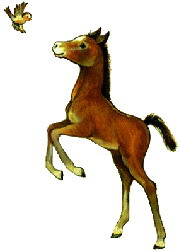 Horses clip art