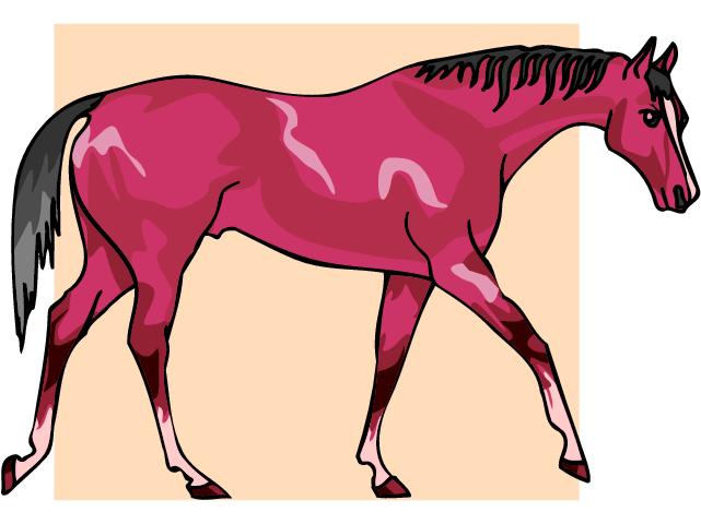 Horses clip art