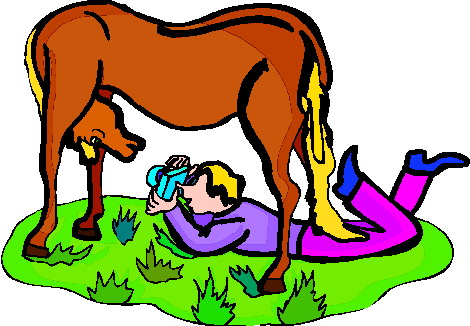 Horses clip art