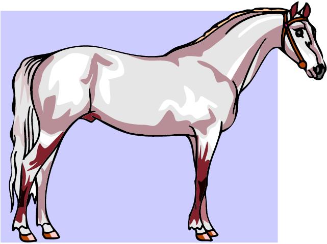 Horses clip art