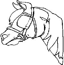 Horses clip art
