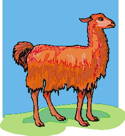 Lama clip art