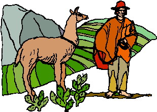 Lama clip art