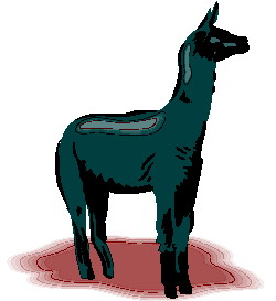 Lama clip art