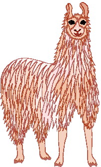 Lama clip art