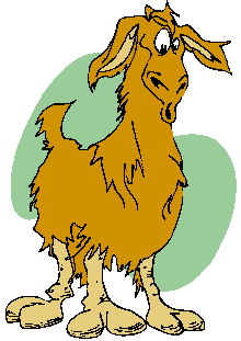 Lama