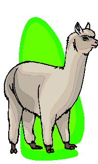 Lama clip art