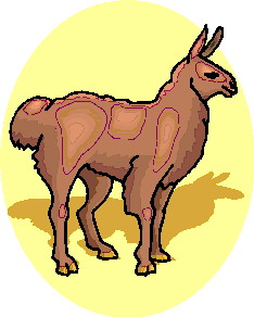 Lama clip art