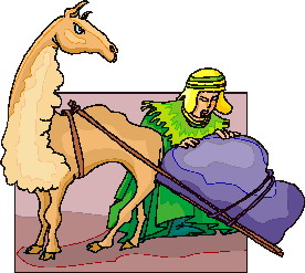 Lama clip art