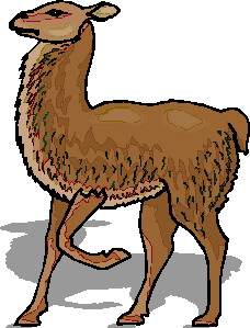 Lama clip art