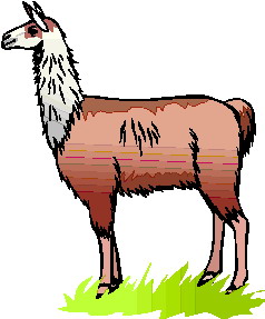 Lama clip art