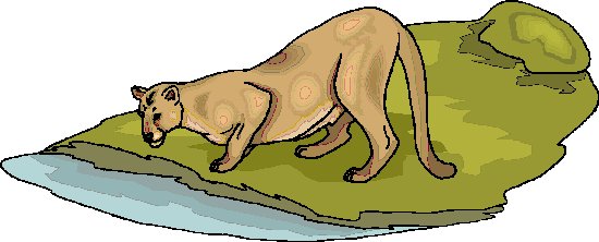 Lions clip art