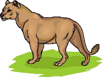 Lions clip art