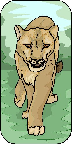 Lions clip art