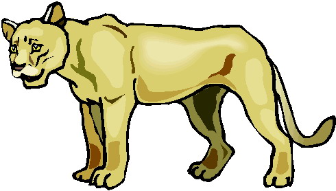 Lions clip art