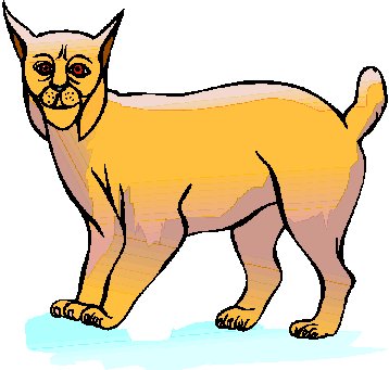 Lions clip art
