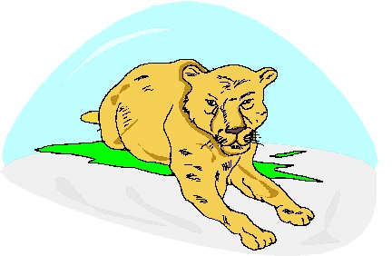 Lions clip art