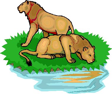 Lions clip art