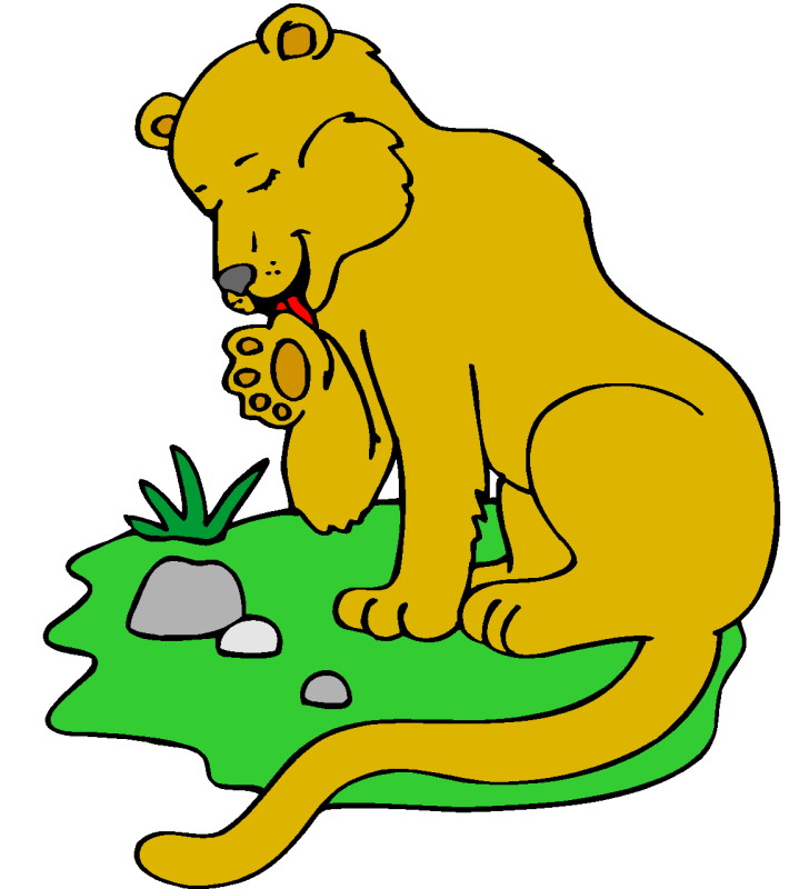 Lions clip art