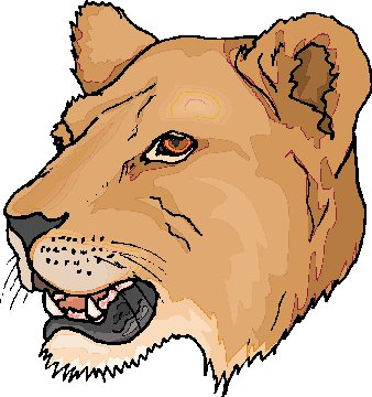 Lions clip art