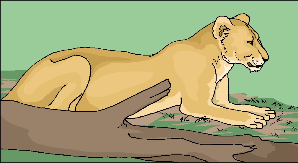 Lions clip art