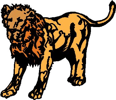 Lions clip art