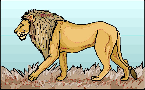 Lions clip art