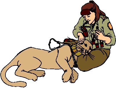 Lions clip art