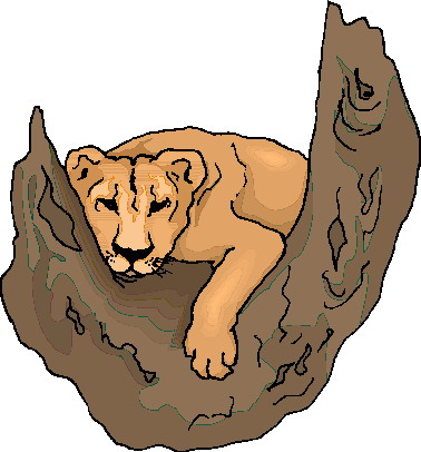 Lions clip art