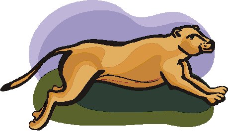 Lions clip art