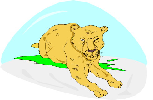 Lions clip art