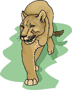 Lions clip art