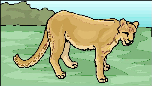 Lions clip art