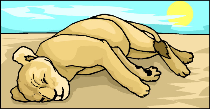 Lions clip art