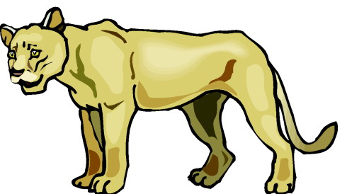 Lions clip art