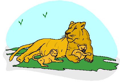 Lions